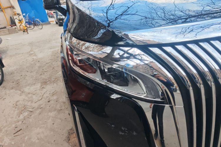 Used Wey Gaoshan 2025 Four-Wheel Drive Alpine 8 Right Front Headlight