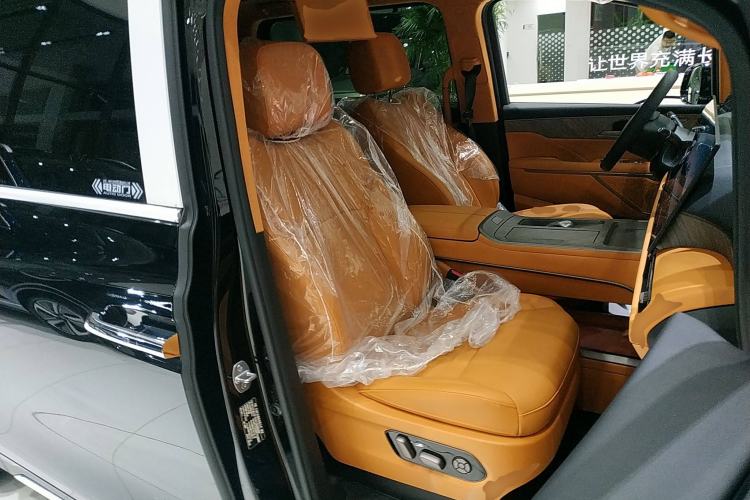 Used Wey Gaoshan 2025 Four-Wheel Drive Alpine 9 Right Front Seat