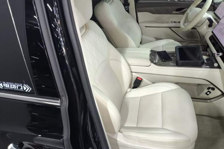 Used Wey Gaoshan 2025 Four-Wheel Drive Alpine 8 Right Front Seat
