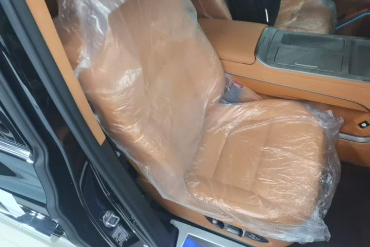 Used Wey Gaoshan 2025 Four-Wheel Drive Alpine 9 Right Front Seat