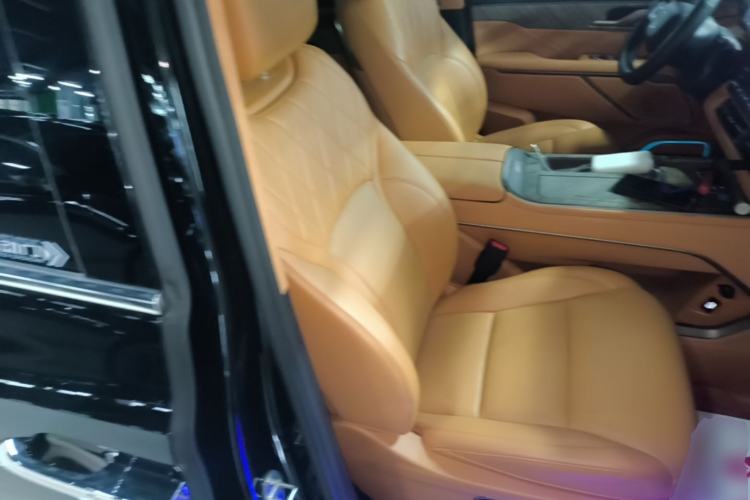 Used Wey Gaoshan 2025 Four-Wheel Drive Alpine 8 Right Front Seat
