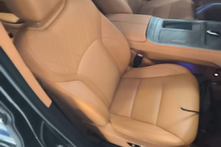 Used Wey Gaoshan 2025 Four-Wheel Drive Alpine 8 Right Front Seat