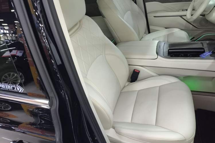 Used Wey Gaoshan 2025 Four-Wheel Drive Alpine 8 Right Front Seat