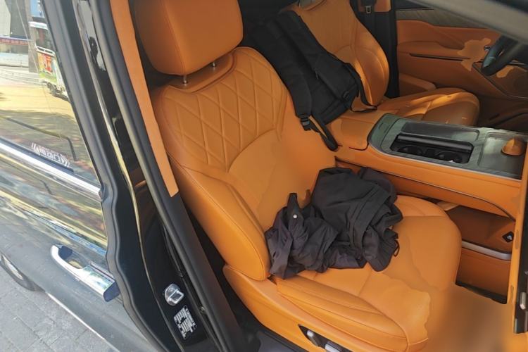 Used Wey Gaoshan 2025 Four-Wheel Drive Alpine 8 Right Front Seat
