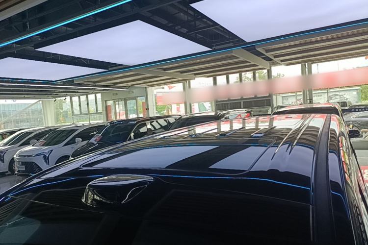 Used Wey Gaoshan 2025 Four-Wheel Drive Alpine 8 Roof