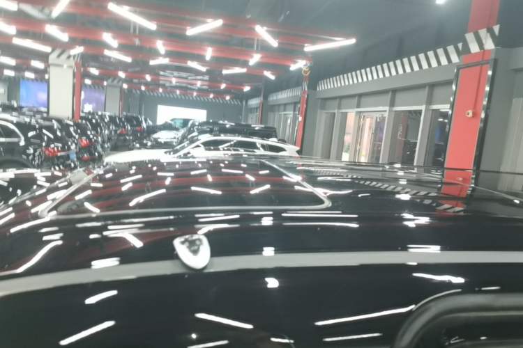 Used Wey Gaoshan 2025 Four-Wheel Drive Alpine 9 Roof