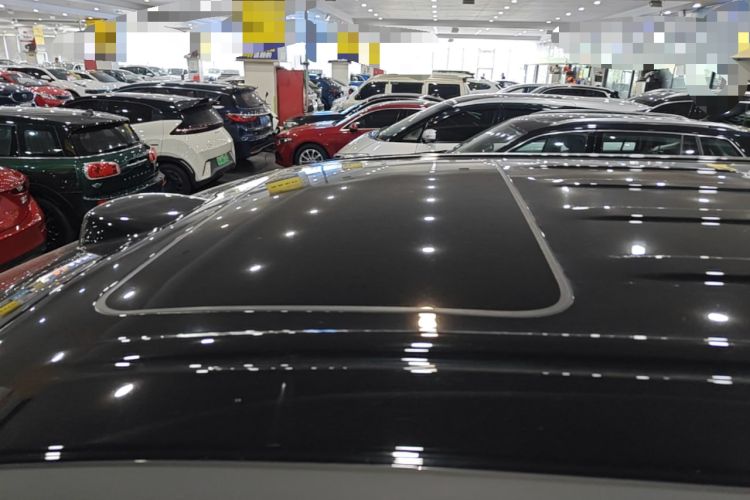 Used Wey Gaoshan 2025 Four-Wheel Drive Alpine 8 Roof