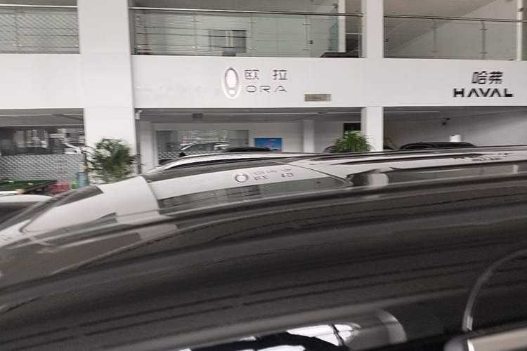 Used Wey Gaoshan 2025 Model Four-Wheel Drive Gao Shan 7 Roof
