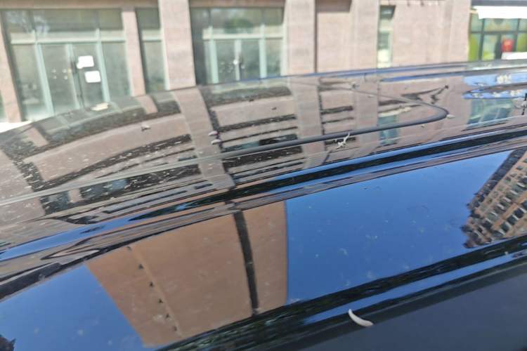 Used Wey Gaoshan 2025 Four-Wheel Drive Alpine 8 Roof