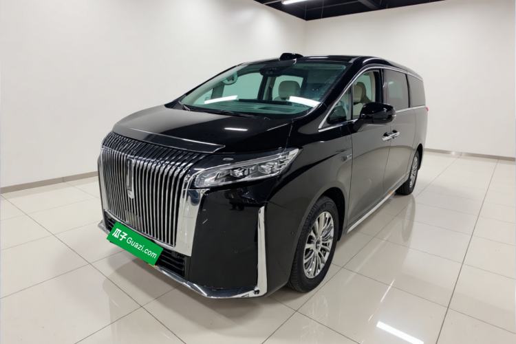Wey Gaoshan 2025 Four-Wheel Drive Alpine 9