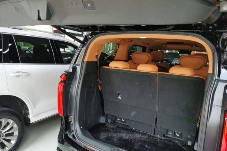 Used Wey Gaoshan 2025 Four-Wheel Drive Alpine 8 Trunk