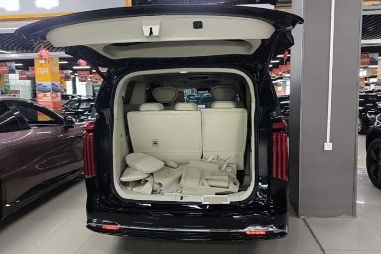 Used Wey Gaoshan 2025 Four-Wheel Drive Alpine 8 Trunk
