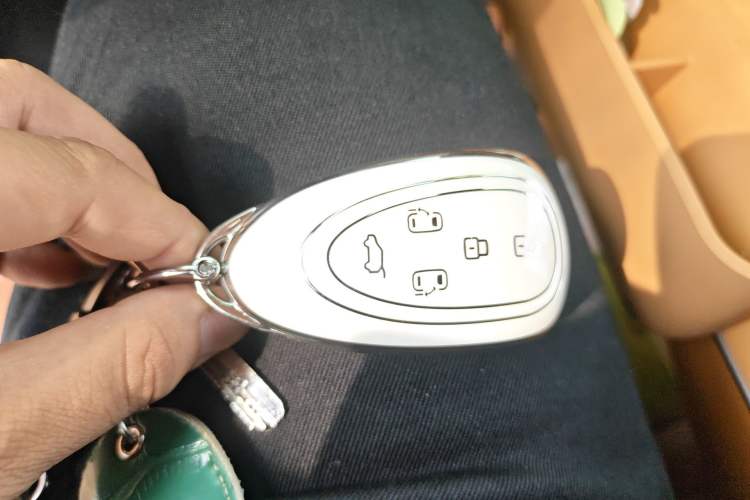 Used Wey Gaoshan 2025 Four-Wheel Drive Alpine 8 Vehicle Key