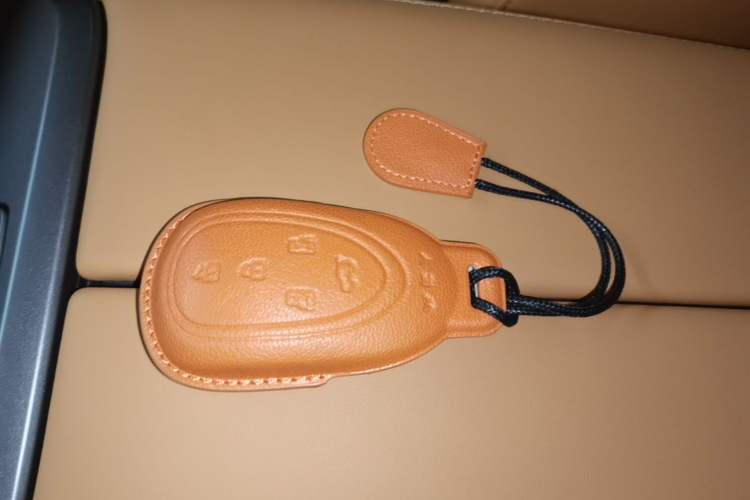 Used Wey Gaoshan 2025 Four-Wheel Drive Alpine 8 Vehicle Key