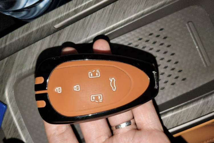Used Wey Gaoshan 2025 Four-Wheel Drive Alpine 8 Vehicle Key