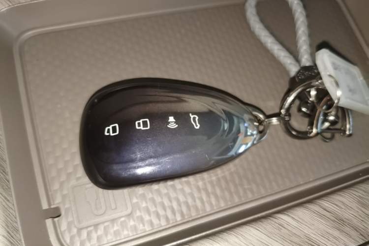 Used Wey Gaoshan 2025 Four-Wheel Drive Alpine 8 Vehicle Key