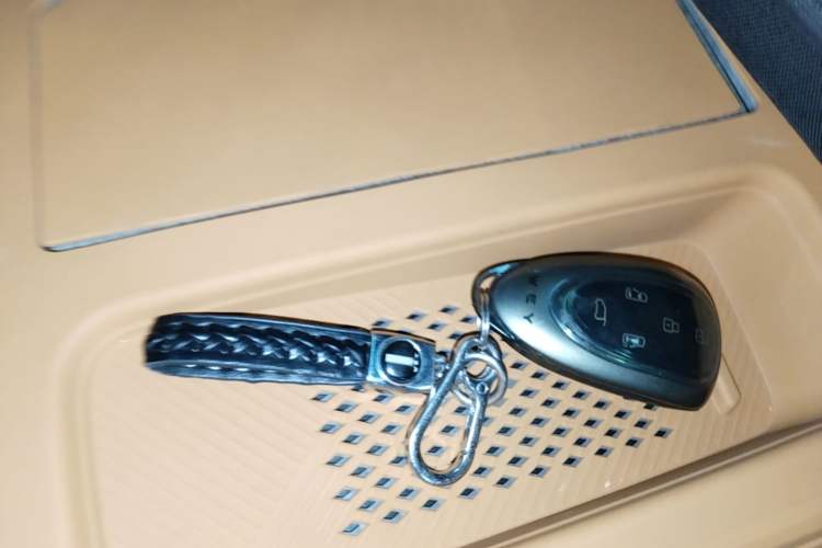 Used Wey Gaoshan 2025 Four-Wheel Drive Alpine 8 Vehicle Key