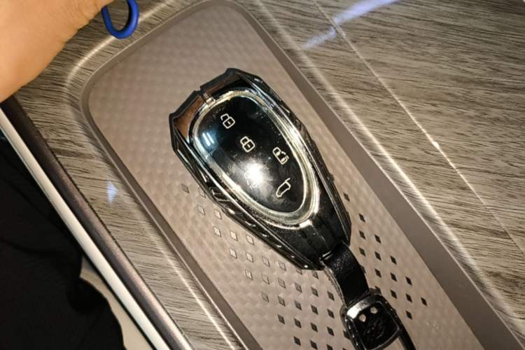 Used Wey Gaoshan 2025 Four-Wheel Drive Alpine 8 Vehicle Key