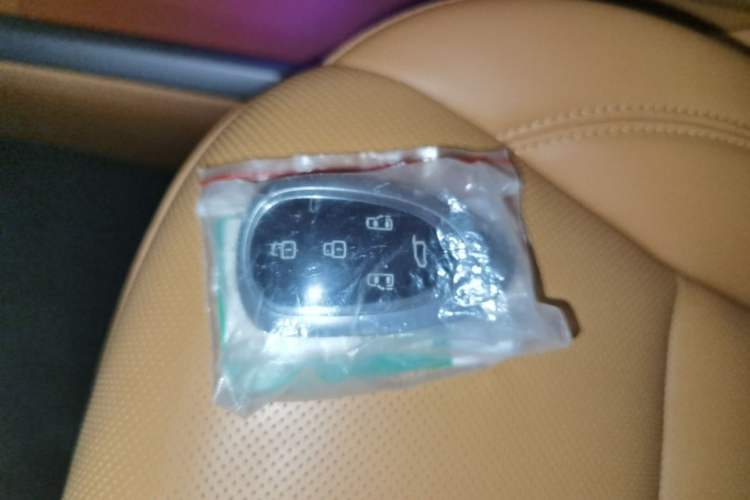Used Wey Gaoshan 2025 Four-Wheel Drive Alpine 9 Vehicle Key
