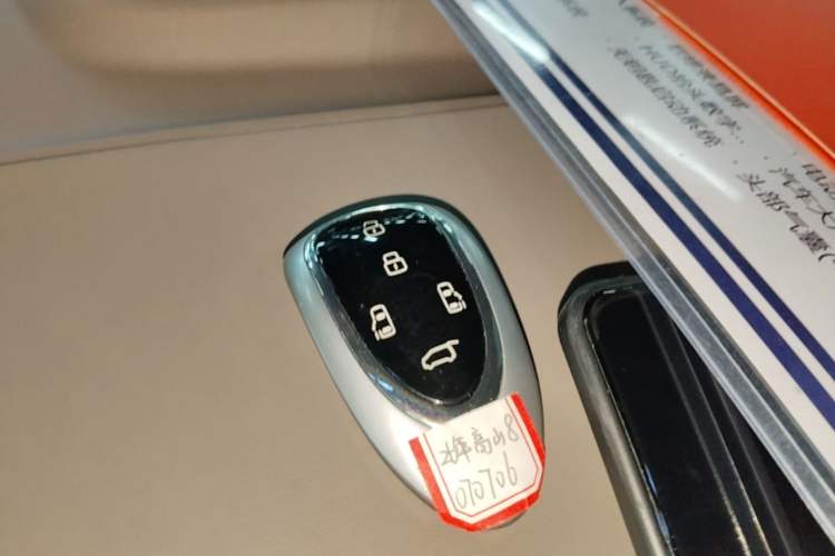Used Wey Gaoshan 2025 Four-Wheel Drive Alpine 8 Vehicle Key