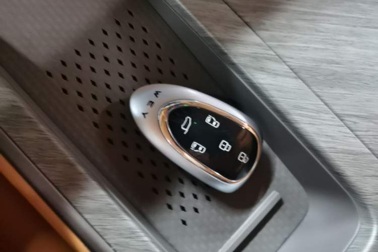 Used Wey Gaoshan 2025 Four-Wheel Drive Alpine 8 Vehicle Key