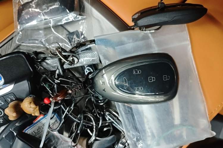 Used Wey Gaoshan 2025 Four-Wheel Drive Alpine 8 Vehicle Key