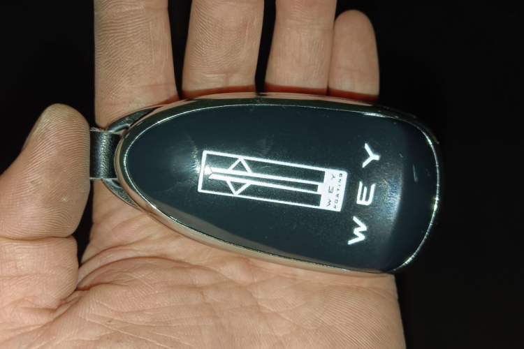 Used Wey Gaoshan 2025 Four-Wheel Drive Alpine 8 Vehicle Key