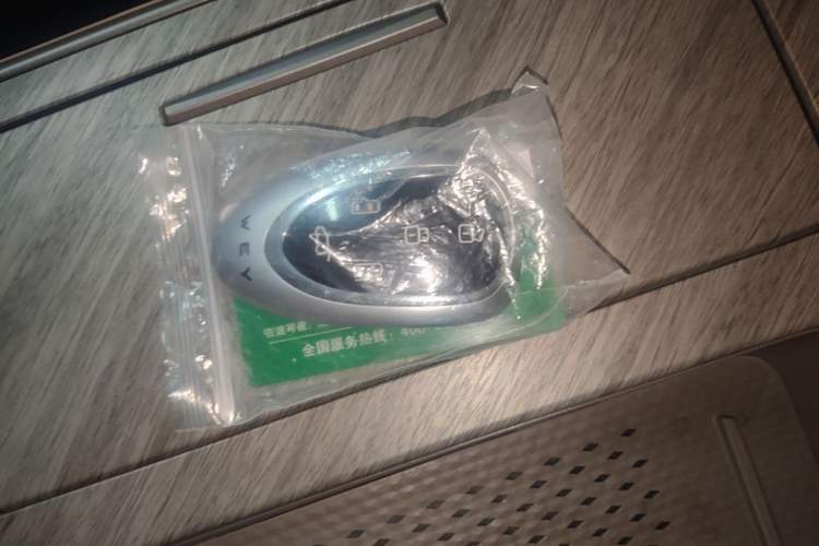 Used Wey Gaoshan 2025 Four-Wheel Drive Alpine 8 Vehicle Key