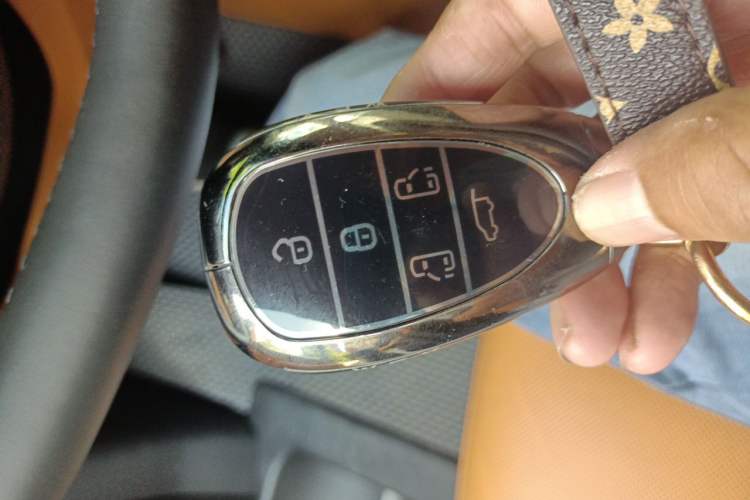 Used Wey Gaoshan 2025 Four-Wheel Drive Alpine 8 Vehicle Key