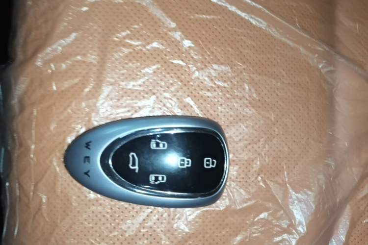 Used Wey Gaoshan 2025 Four-Wheel Drive Alpine 9 Vehicle Key