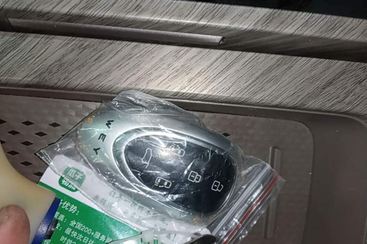 Used Wey Gaoshan 2025 Four-Wheel Drive Alpine 8 Vehicle Key