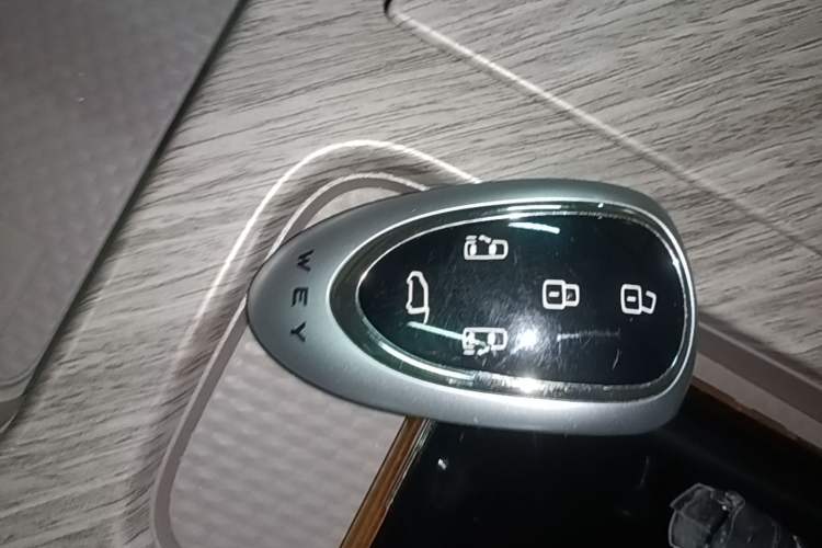 Used Wey Gaoshan 2025 Four-Wheel Drive Alpine 9 Vehicle Key