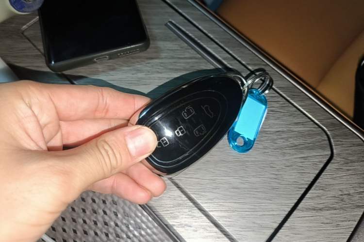 Used Wey Gaoshan 2025 Four-Wheel Drive Alpine 8 Vehicle Key