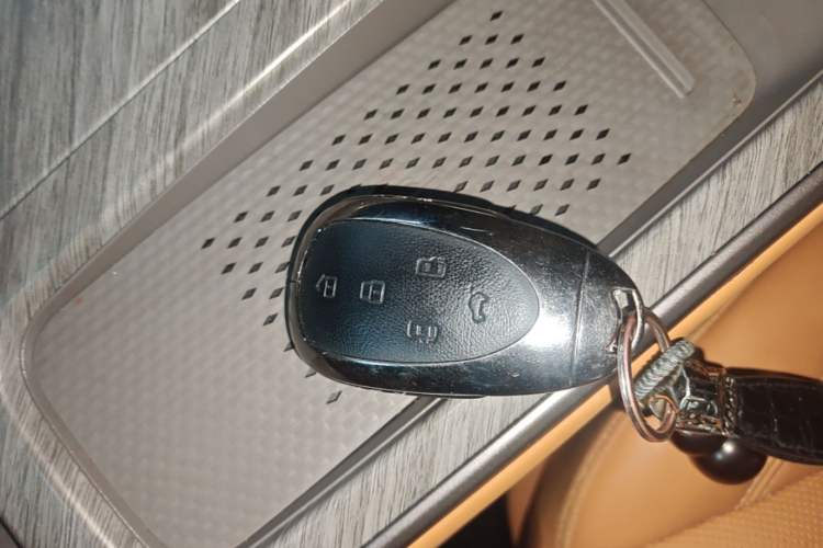 Used Wey Gaoshan 2025 Four-Wheel Drive Alpine 8 Vehicle Key