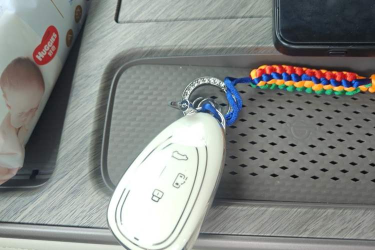 Used Wey Gaoshan 2025 Four-Wheel Drive Alpine 8 Vehicle Key