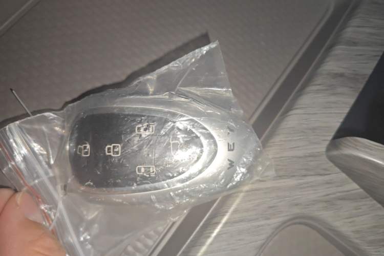 Used Wey Gaoshan 2025 Four-Wheel Drive Alpine 8 Vehicle Key