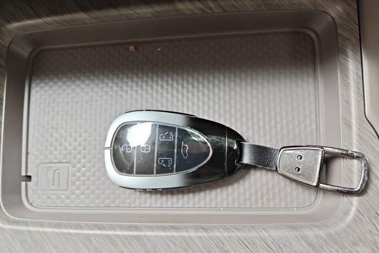 Used Wey Gaoshan 2025 Four-Wheel Drive Alpine 8 Vehicle Key