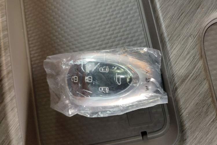 Used Wey Gaoshan 2025 Model Four-Wheel Drive Gao Shan 7 Vehicle Key