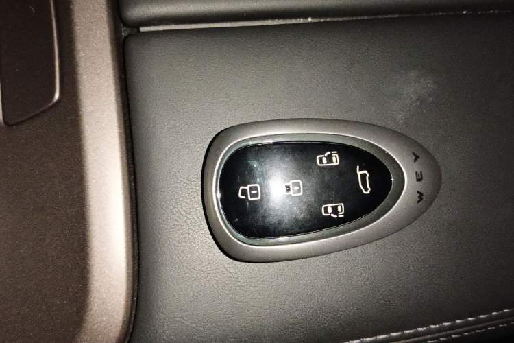 Used Wey Gaoshan 2025 Four-Wheel Drive Alpine 8 Vehicle Key