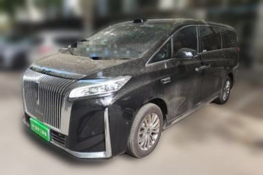 Used Wey Gaoshan 2025 Four-Wheel Drive Alpine 8
