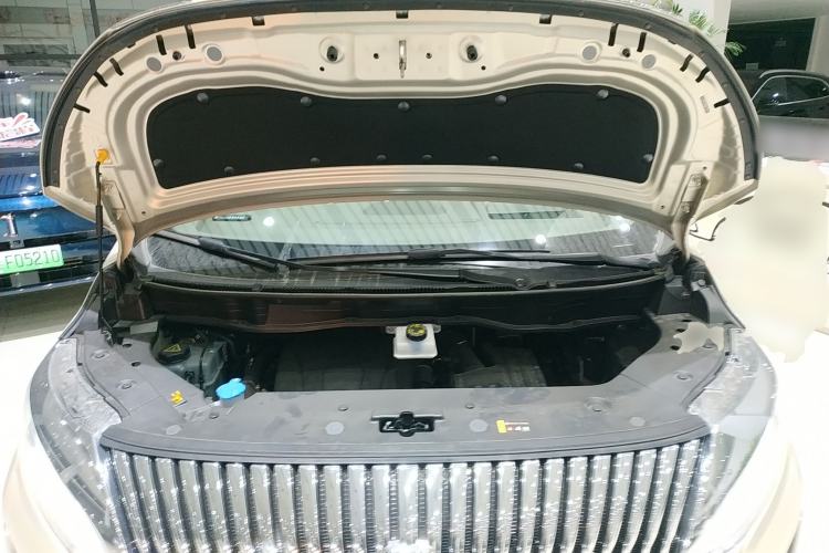 Used Wey Gaoshan 2025 Four-Wheel Drive Alpine 8 Engine Bay