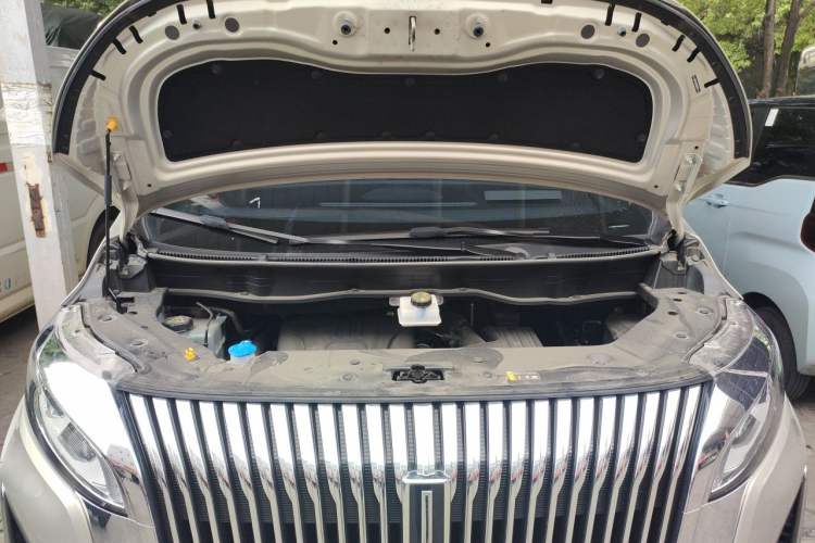 Used Wey Gaoshan 2025 Four-Wheel Drive Alpine 8 Engine Bay