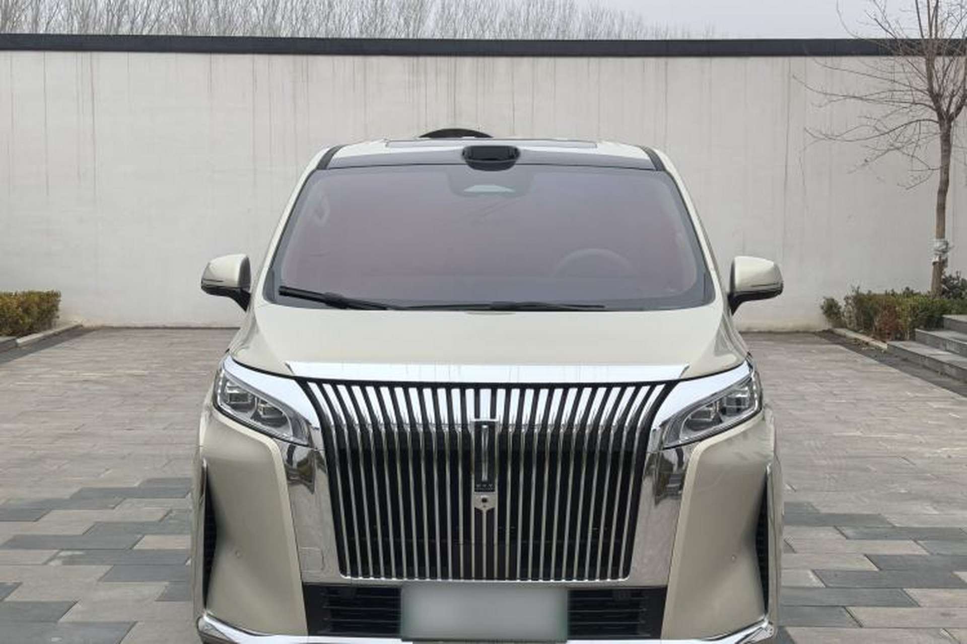 Used Wey Gaoshan 2025 Four-Wheel Drive Alpine 8 Exterior 1