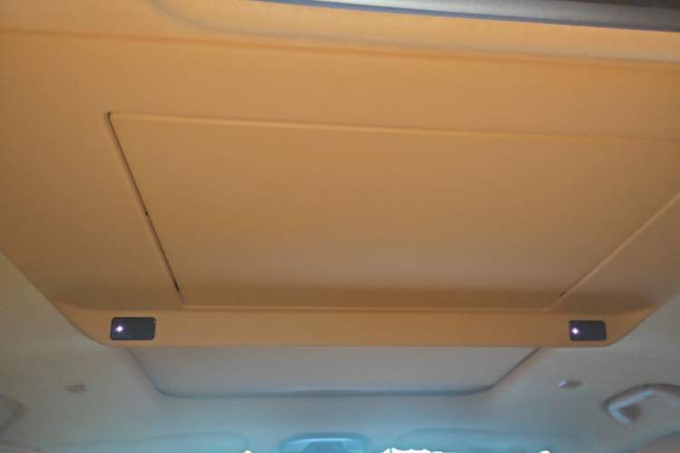 Used Wey Gaoshan 2025 Four-Wheel Drive Alpine 8 Headliner