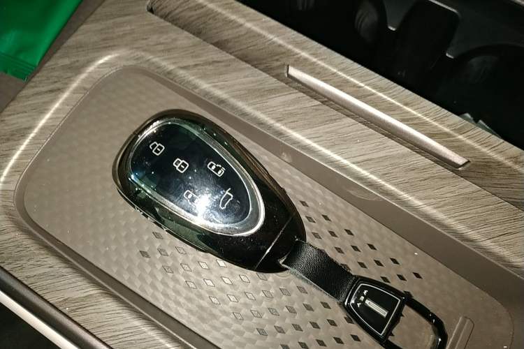 Used Wey Gaoshan 2025 Four-Wheel Drive Alpine 8 Interior 1