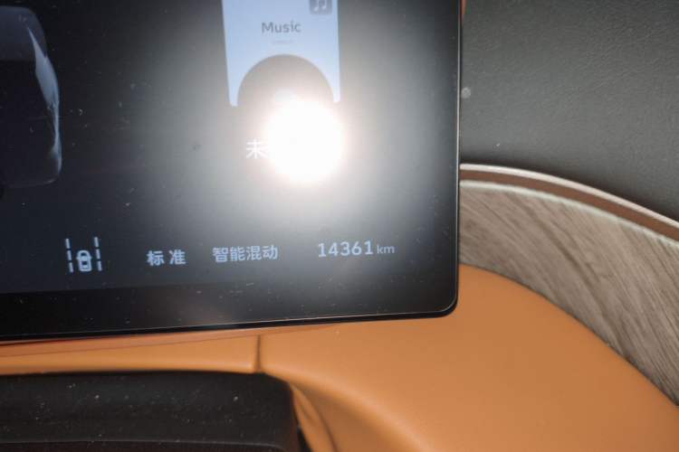 Used Wey Gaoshan 2025 Four-Wheel Drive Alpine 8 Odometer Close Up