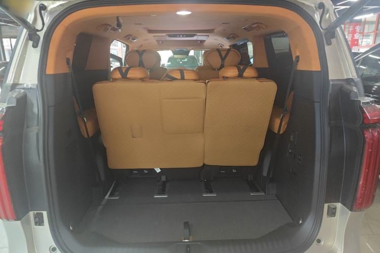 Used Wey Gaoshan 2025 Four-Wheel Drive Alpine 8 Trunk