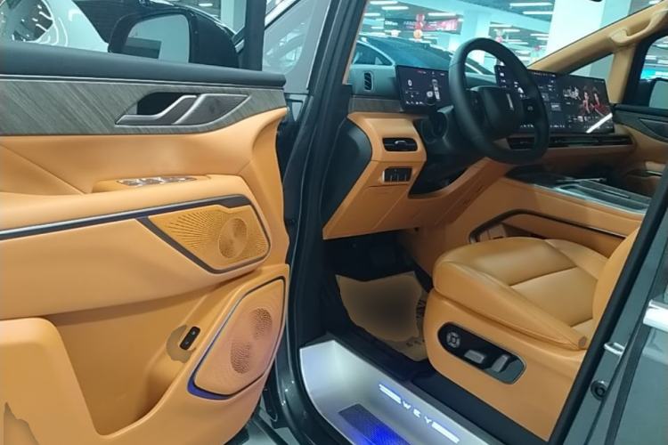 Used Wey Gaoshan 2025 Four-Wheel Drive Alpine 8 Driver Seat