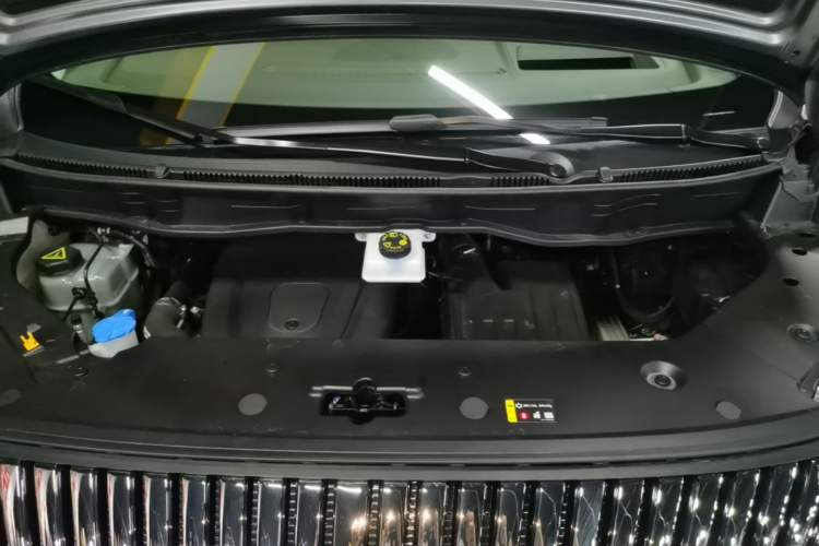 Used Wey Gaoshan 2025 Four-Wheel Drive Alpine 8 Engine Bay