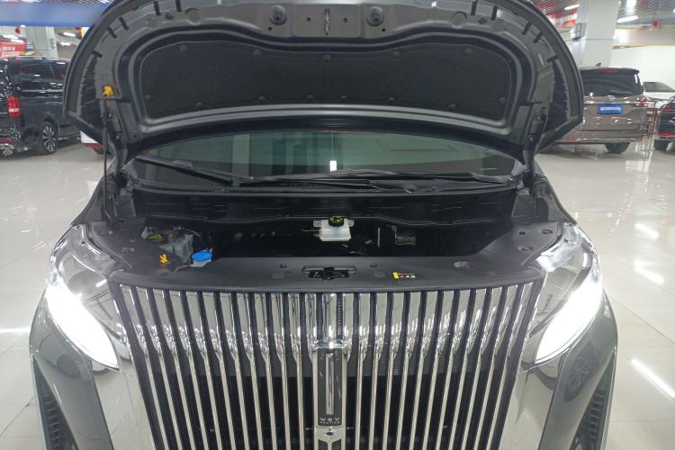 Used Wey Gaoshan 2025 Four-Wheel Drive Alpine 8 Engine Bay